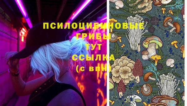спайс Вязники