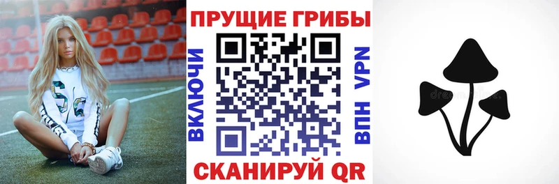 наркошоп  Шарыпово  Псилоцибиновые грибы мухоморы 