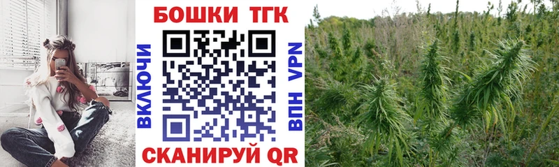 Бошки марихуана индика  где можно купить наркотик  Шарыпово 
